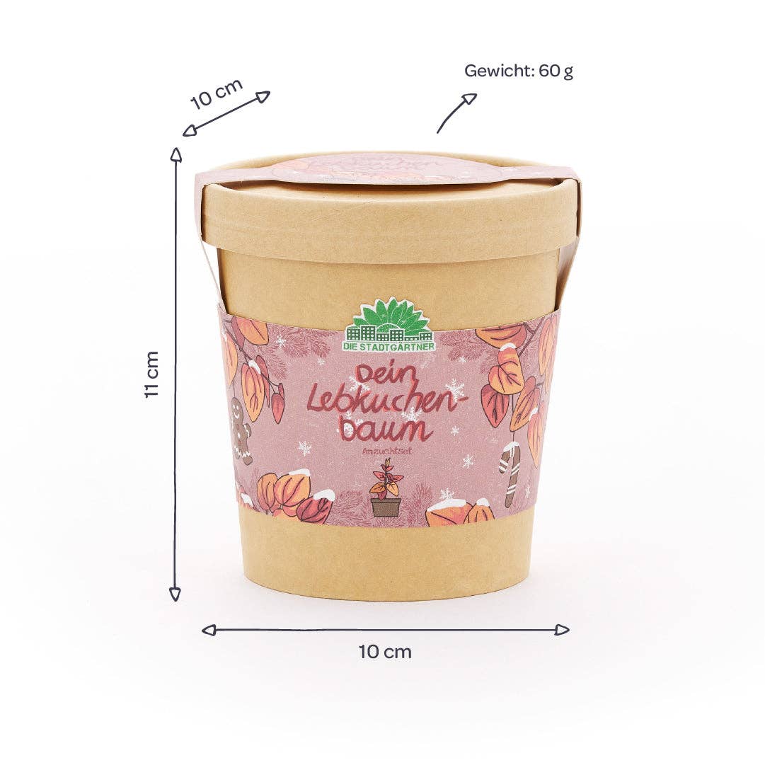 Anzuchtset Lebkuchenbaum