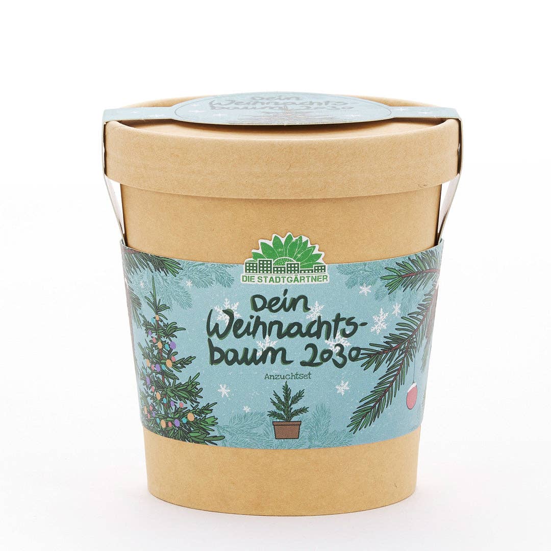 Anzuchtset Weihnachtsbaum