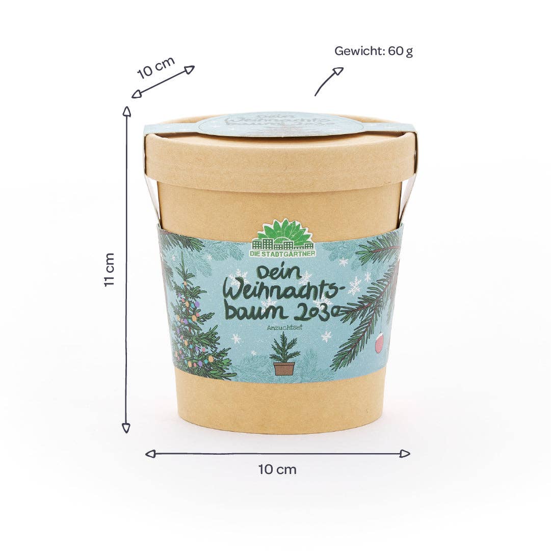 Anzuchtset Weihnachtsbaum