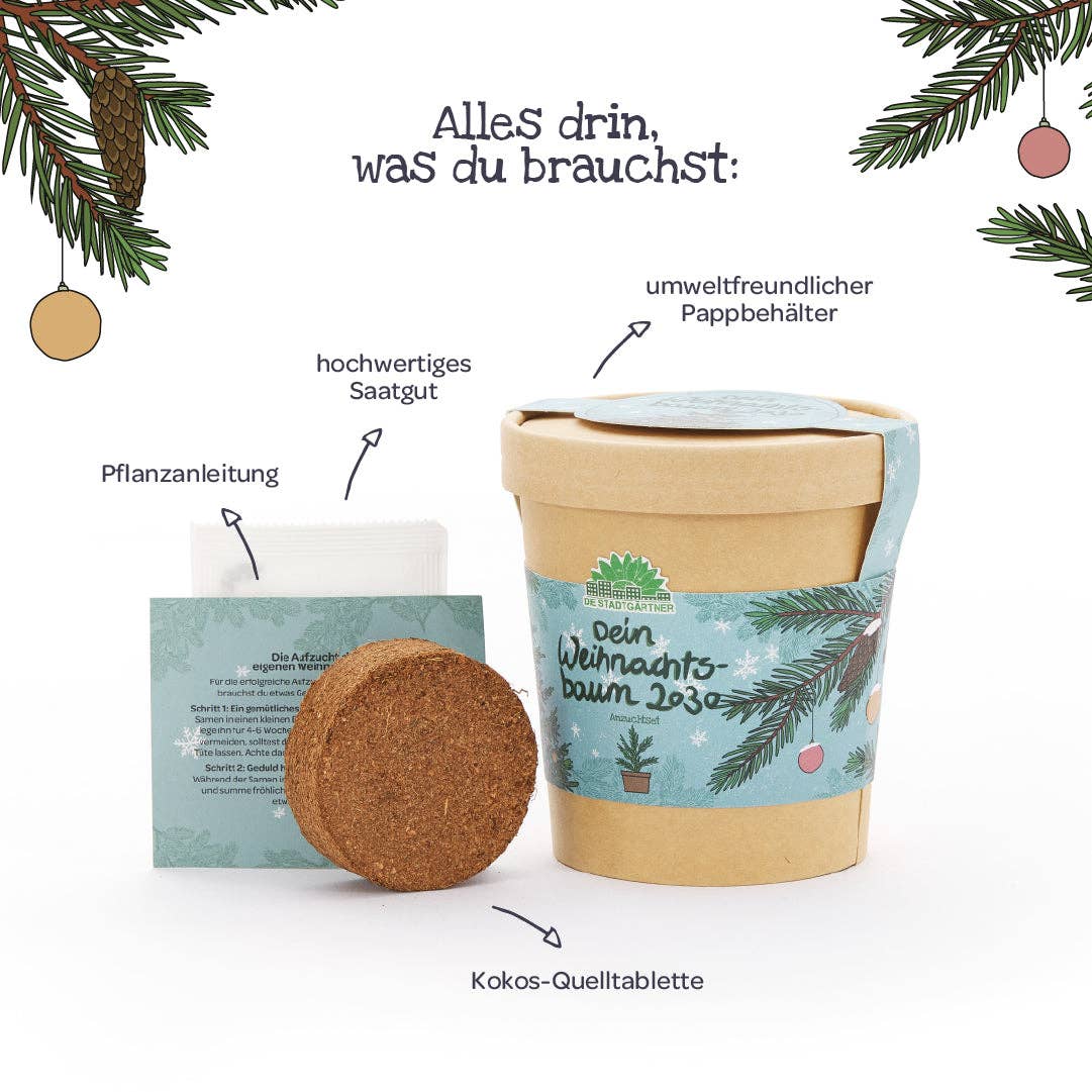 Anzuchtset Weihnachtsbaum - lyllevenn