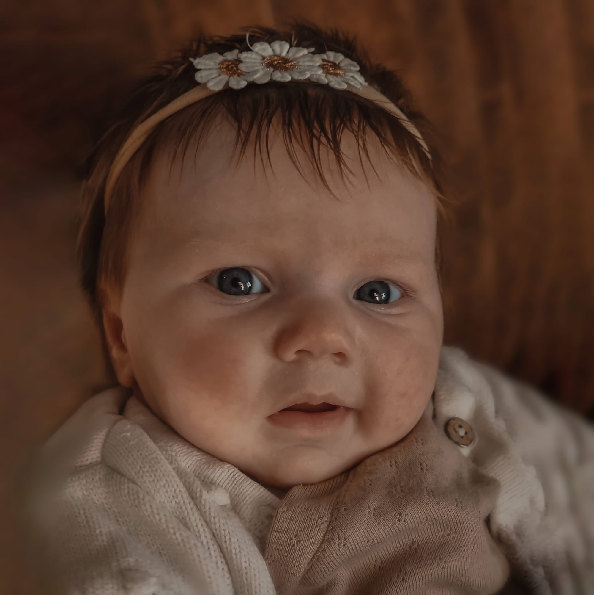 Babyhaarband - Gänseblümchen - lyllevenn