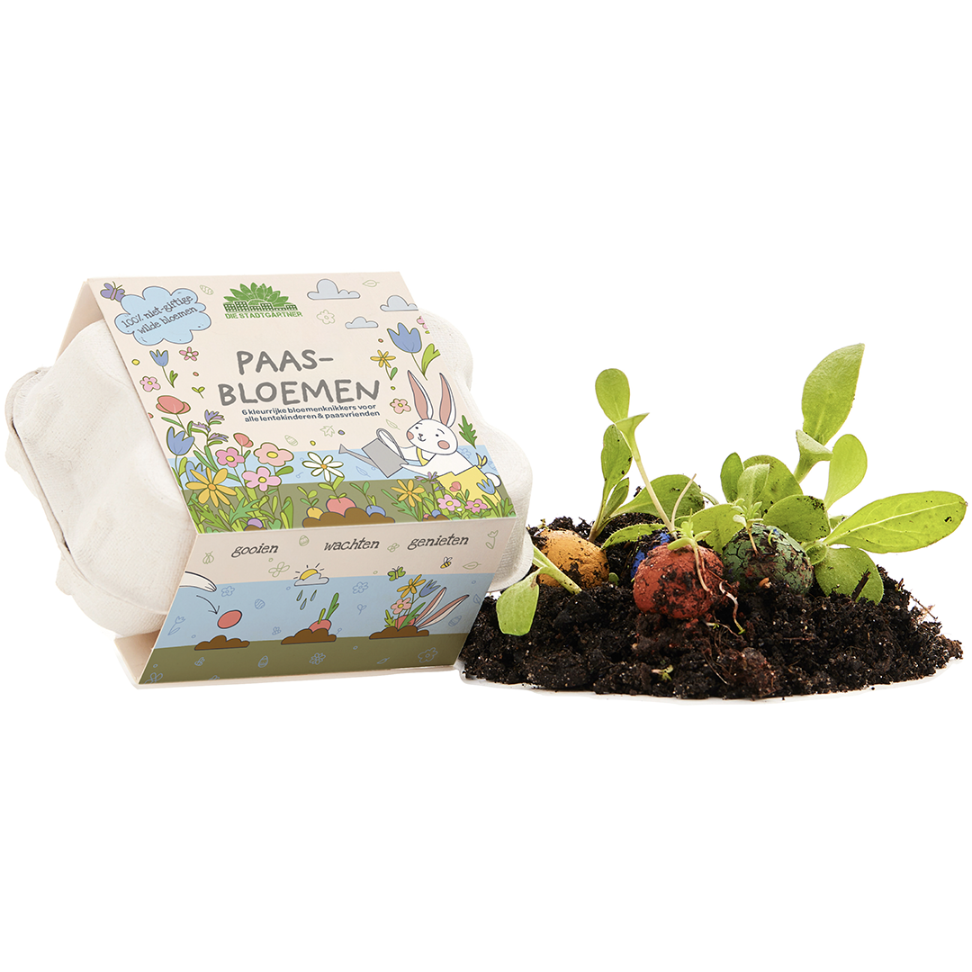 Osterblumen im Eierkarton – 6 Saatkugeln