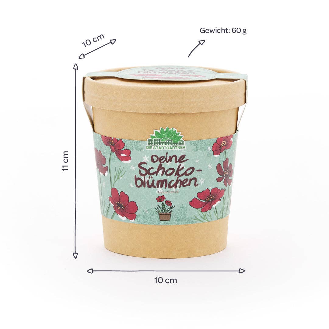 Schokoblümchen im Becher – Anzuchtset - lyllevenn