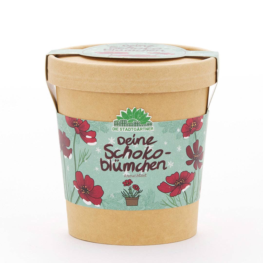 Schokoblümchen im Becher – Anzuchtset - lyllevenn
