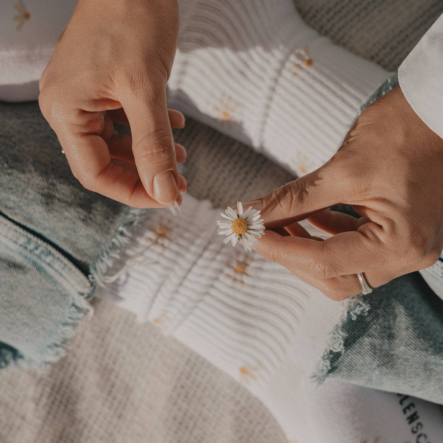 Socken - Allover Daisy - lyllevenn
