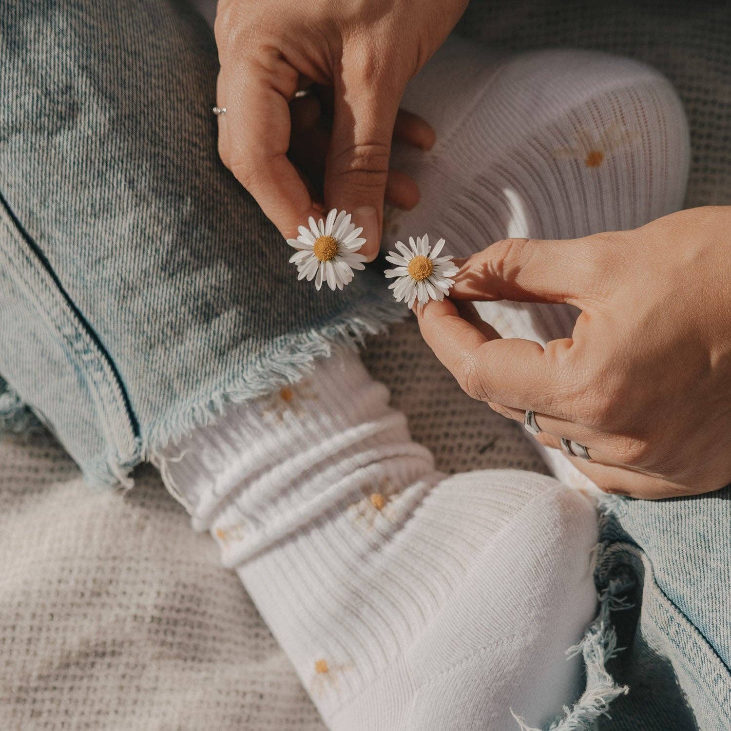 Socken - Allover Daisy - lyllevenn