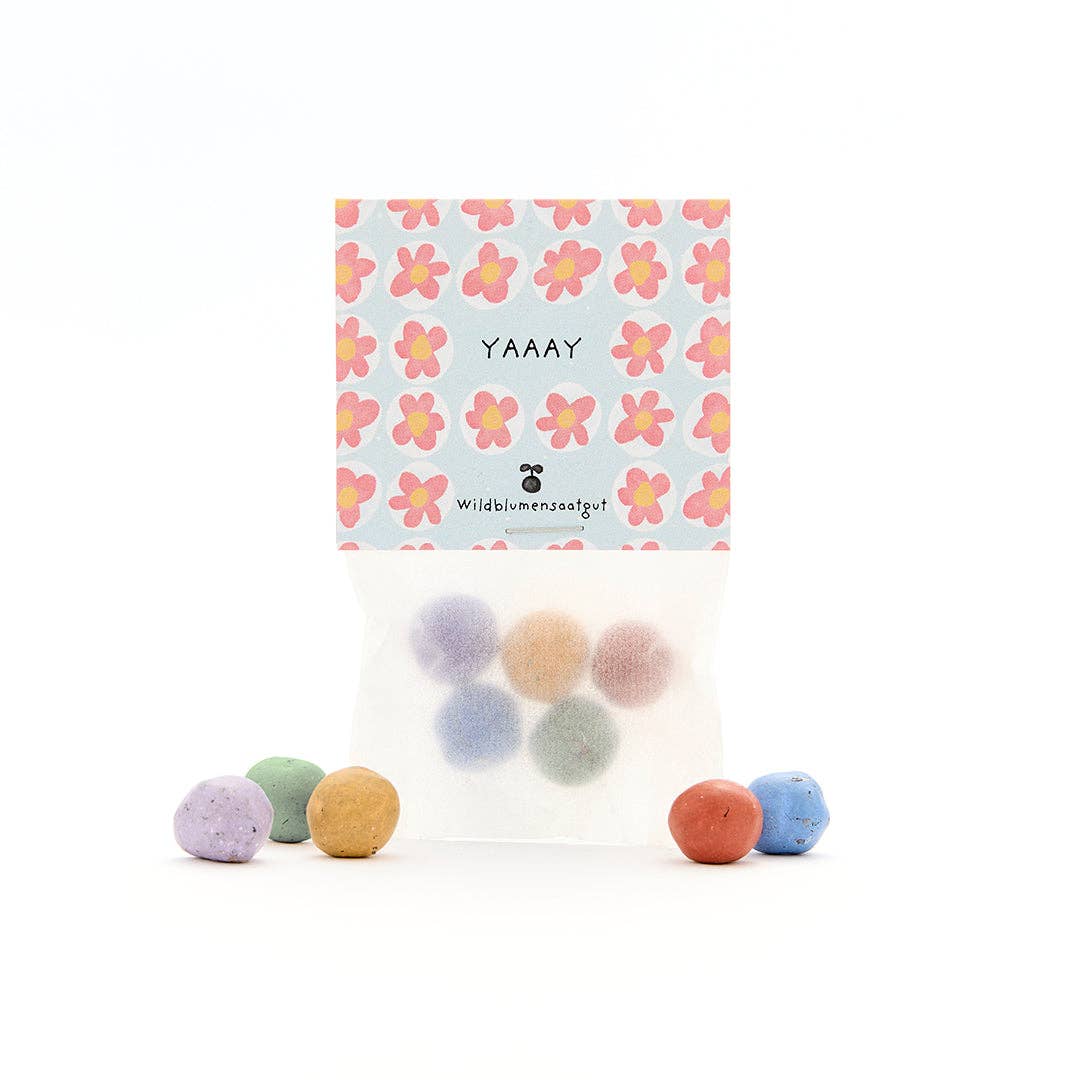 Saatkugeln Geschenk – YAAAY für Kinder & Freude