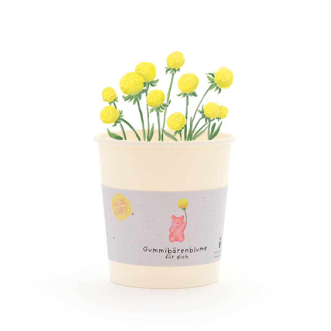 Anzuchtset Gummibärenblume - lyllevenn