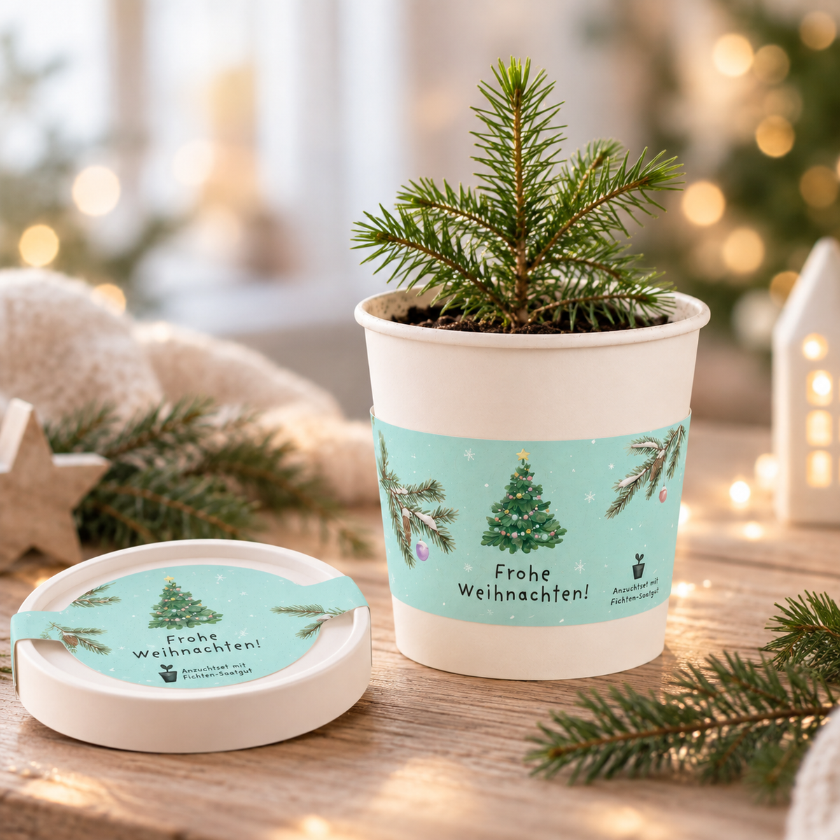 Anzuchtset Fichte „Frohe Weihnachten“