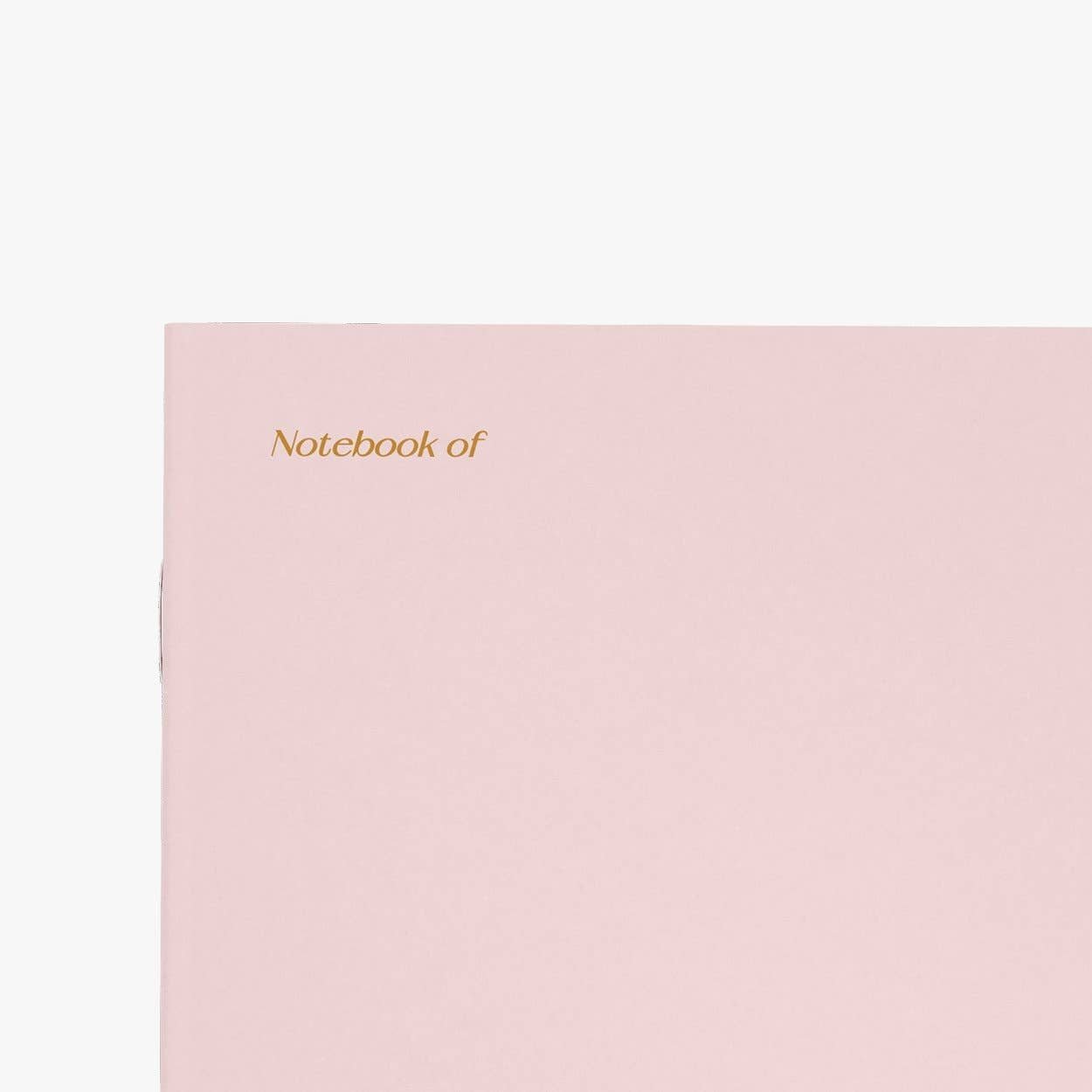 Notizheft für brilliante Ideen – Brilliant Pooping - lyllevenn