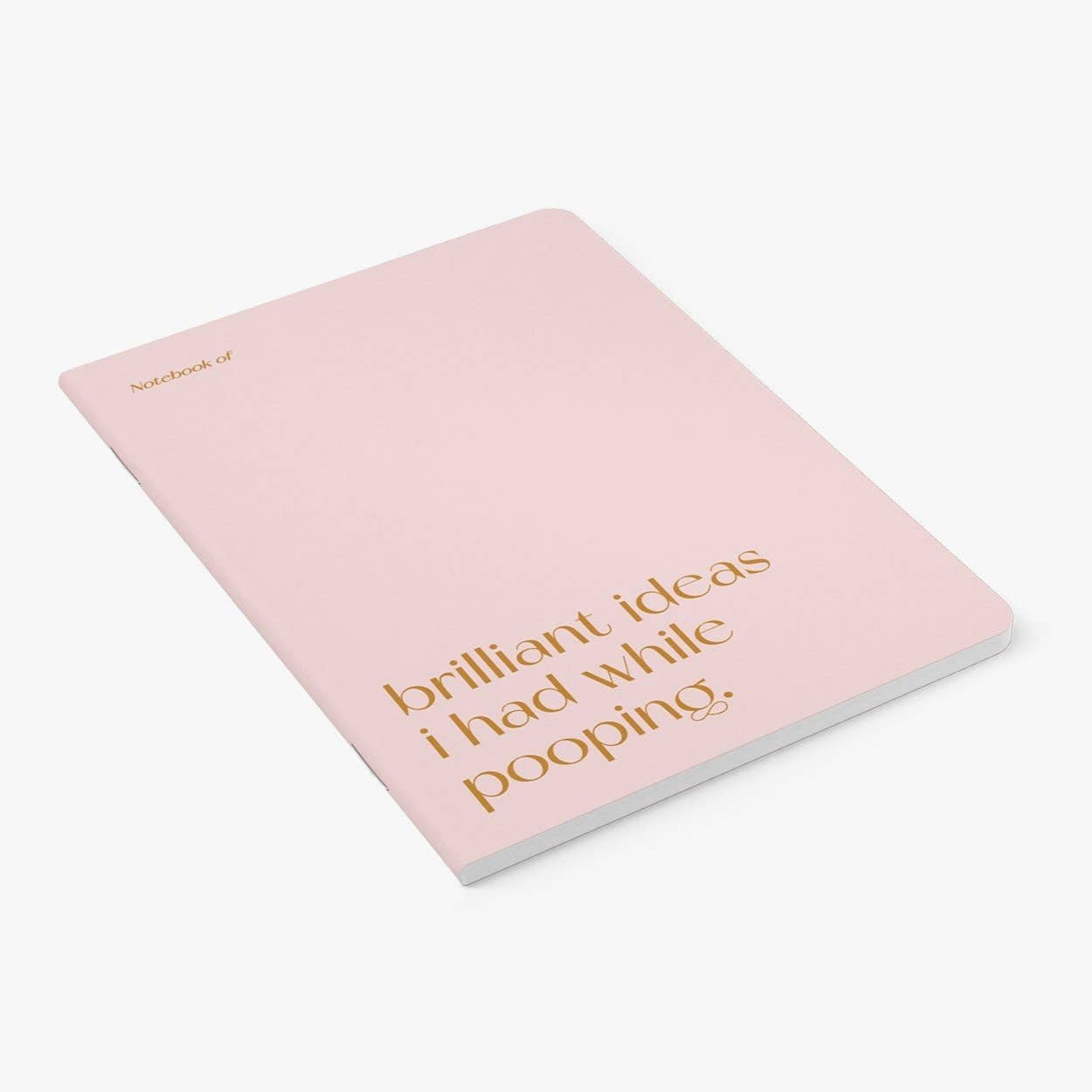 Notizheft für brilliante Ideen – Brilliant Pooping - lyllevenn