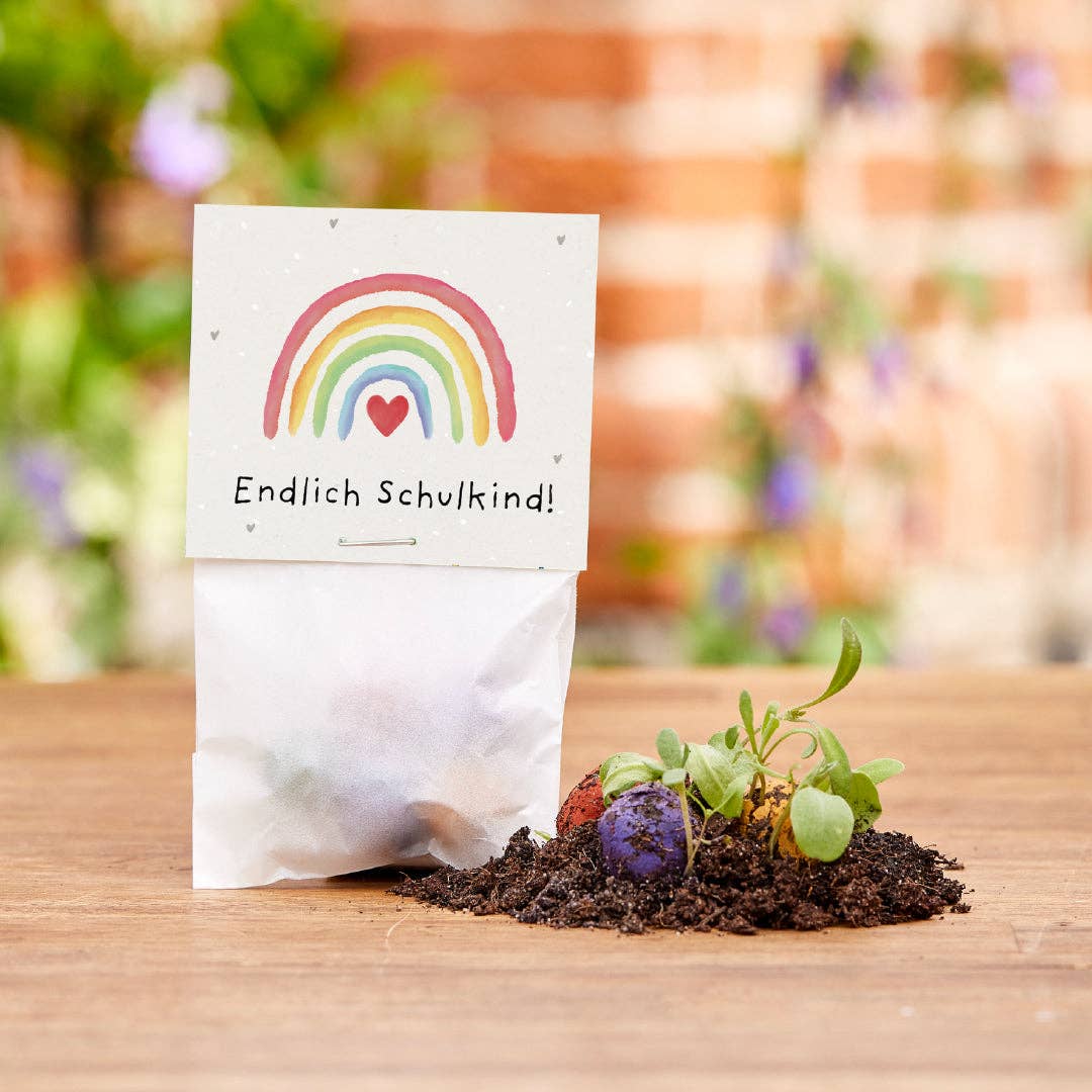 Saatgut - Endlich Schulkind - lyllevenn