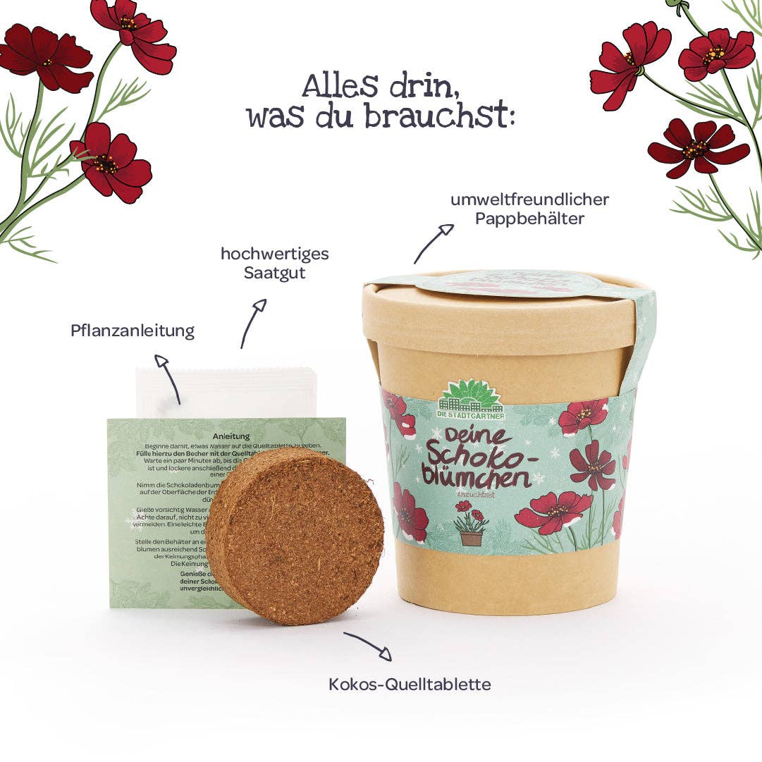Schokoblümchen im Becher – Anzuchtset - lyllevenn