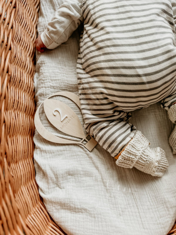 Meilensteine Newborn | auswechselbar | Meilensteinkarten Baby | Babys erstes Jahr | Geschenk Geburt – HEISSLUFTBALLON - lyllevenn-store
